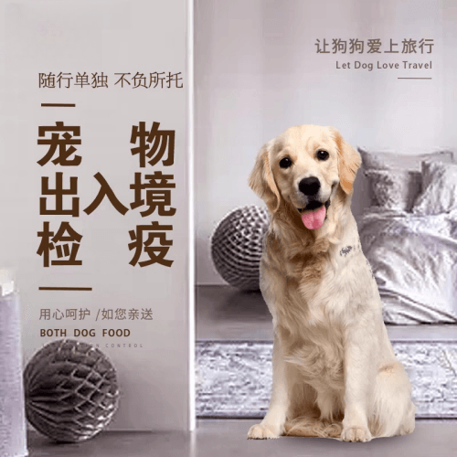 鄂州市宠物托运到哥伦比亚猫狗宠物入境规定和