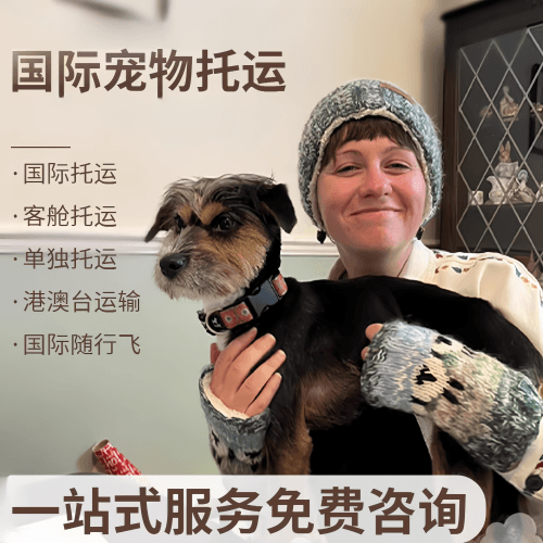 鄂州市国际宠物托运到阿根廷宠物入境规定和要