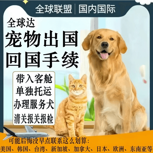 鄂州市宠物托运到柬埔寨宠物入境规定和要求