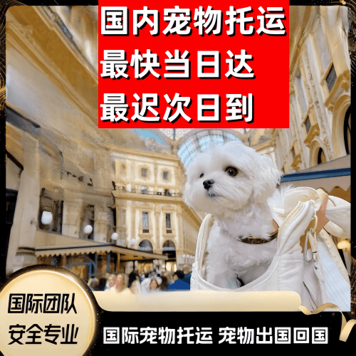 鄂州市到澳大利亚（澳洲）宠物入境规定和要求