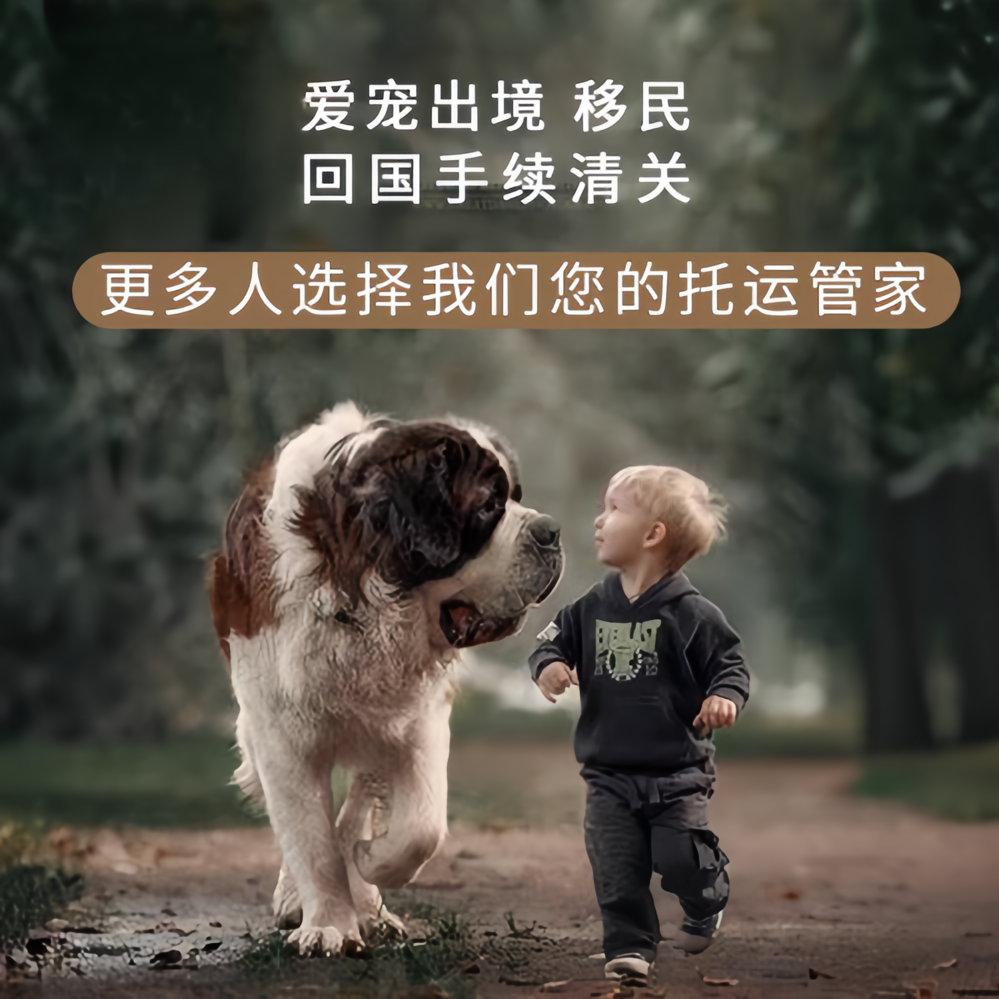 满财鄂州市宠物全球达宠物托运在遵守入境目的地政策的条件