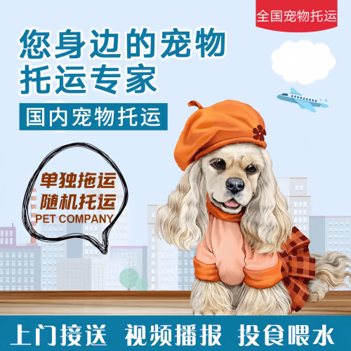 满财鄂州市宠物全球达宠物托运作为专业的宠物运输代理机构